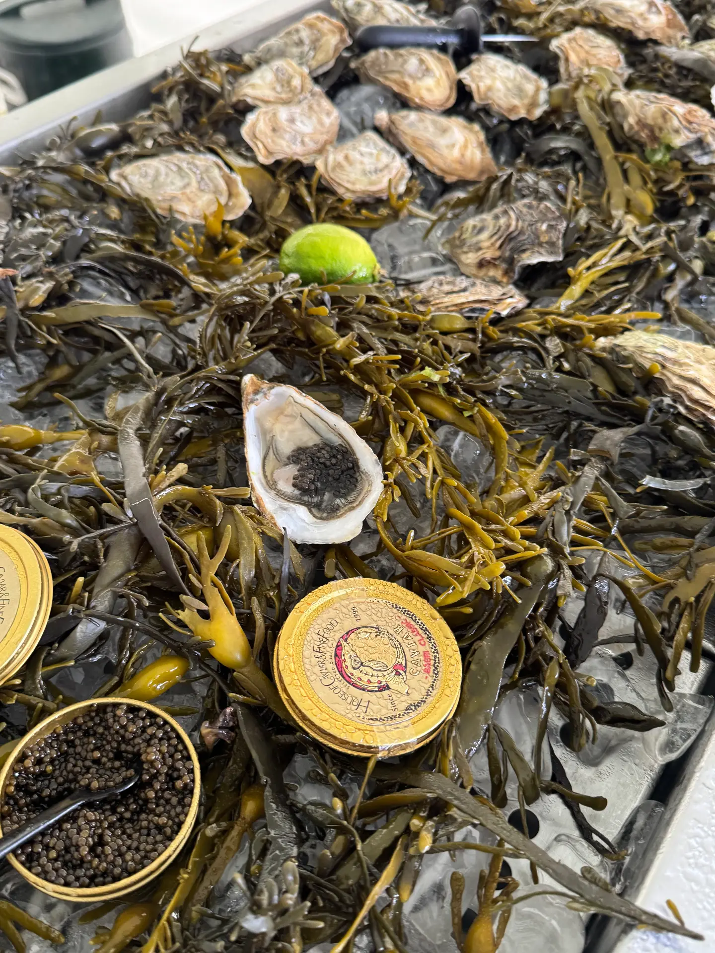 Verse oesters met kaviaar op zeewier en ijs